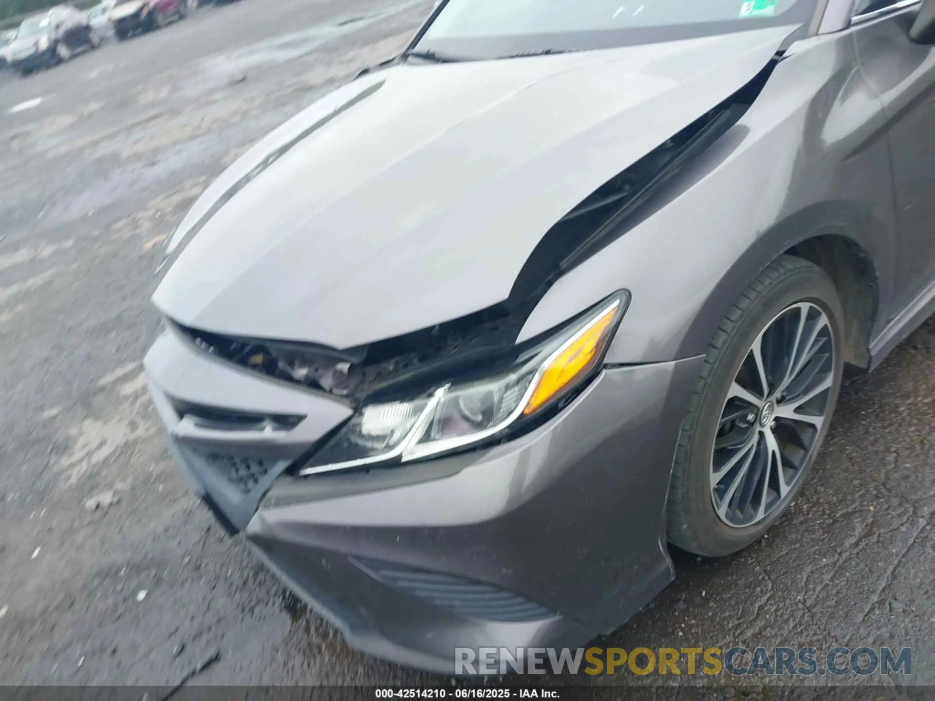6 fotografías del automóvil dañado 4T1B11HKXKU235174 TOYOTA CAMRY 2019