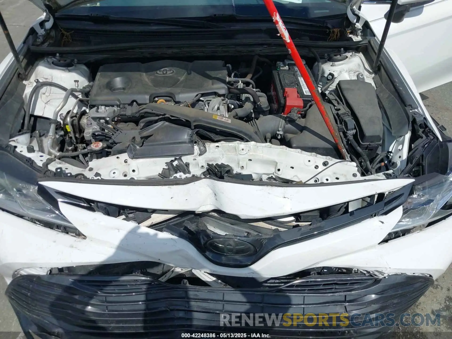 10 fotografías del automóvil dañado 4T1B11HKXKU237605 TOYOTA CAMRY 2019