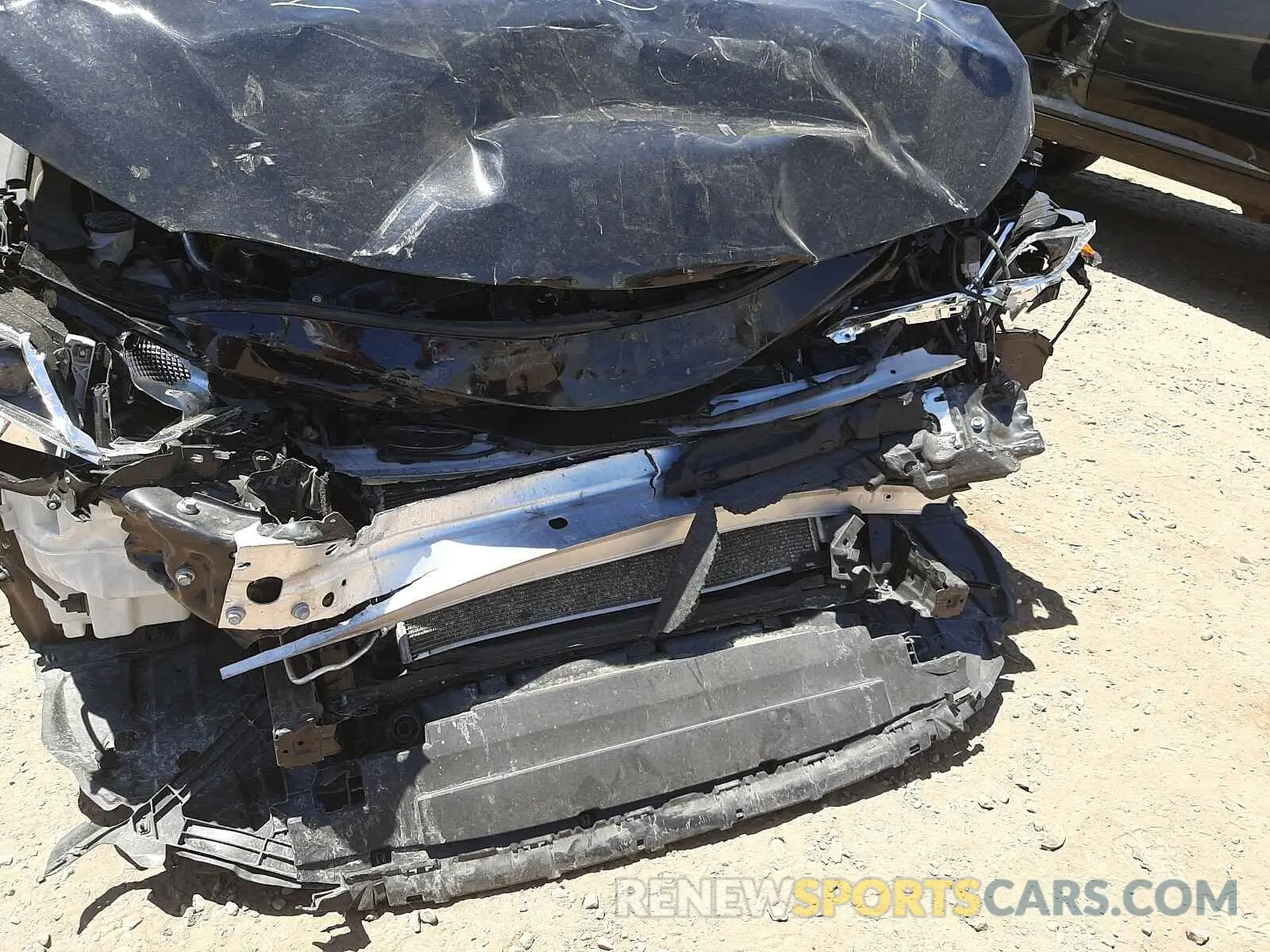 9 fotografías del automóvil dañado 4T1B11HKXKU239208 TOYOTA CAMRY 2019
