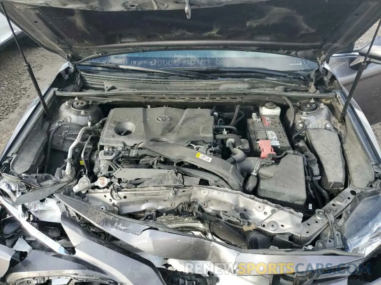 11 fotografías del automóvil dañado 4T1B11HKXKU239841 TOYOTA CAMRY 2019