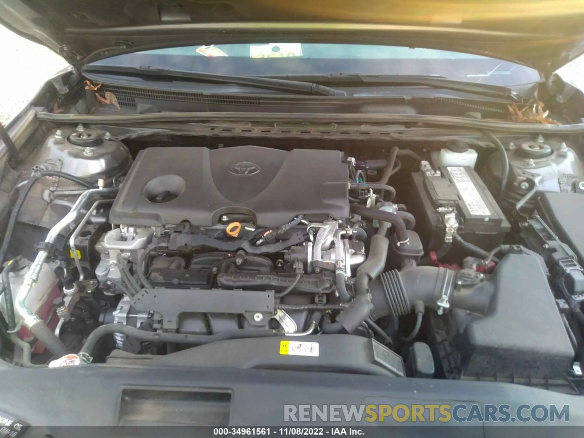 10 fotografías del automóvil dañado 4T1B11HKXKU240830 TOYOTA CAMRY 2019