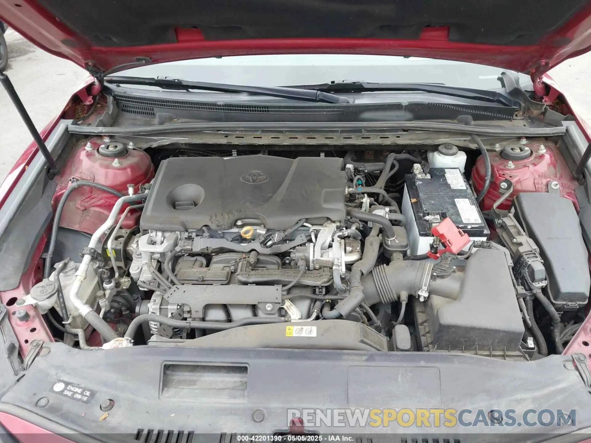10 fotografías del automóvil dañado 4T1B11HKXKU243453 TOYOTA CAMRY 2019