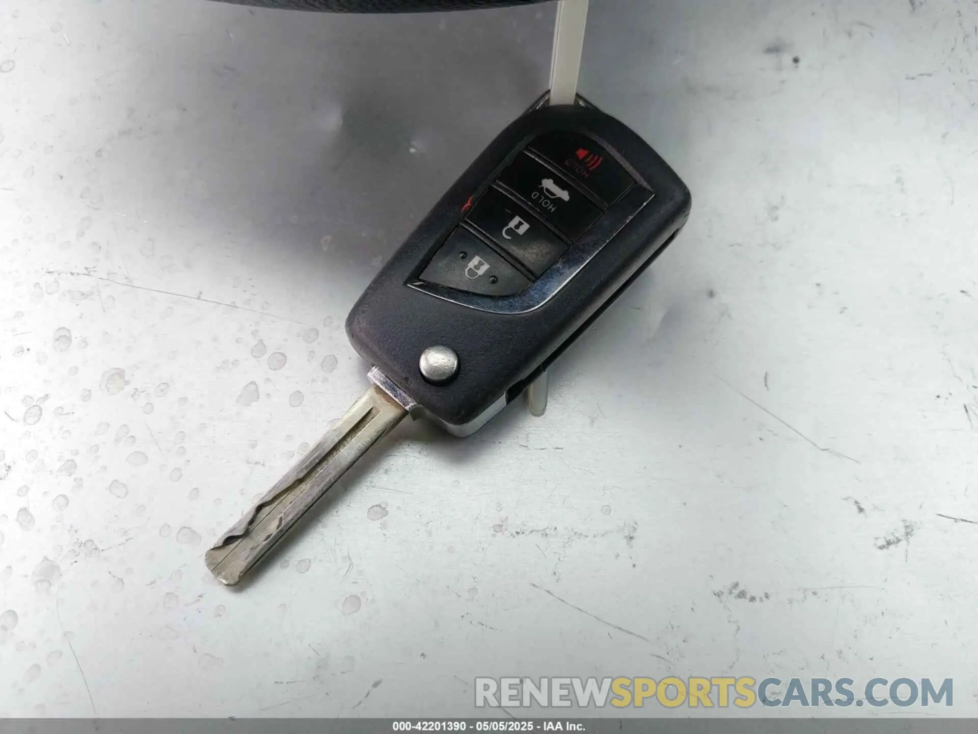 11 fotografías del automóvil dañado 4T1B11HKXKU243453 TOYOTA CAMRY 2019