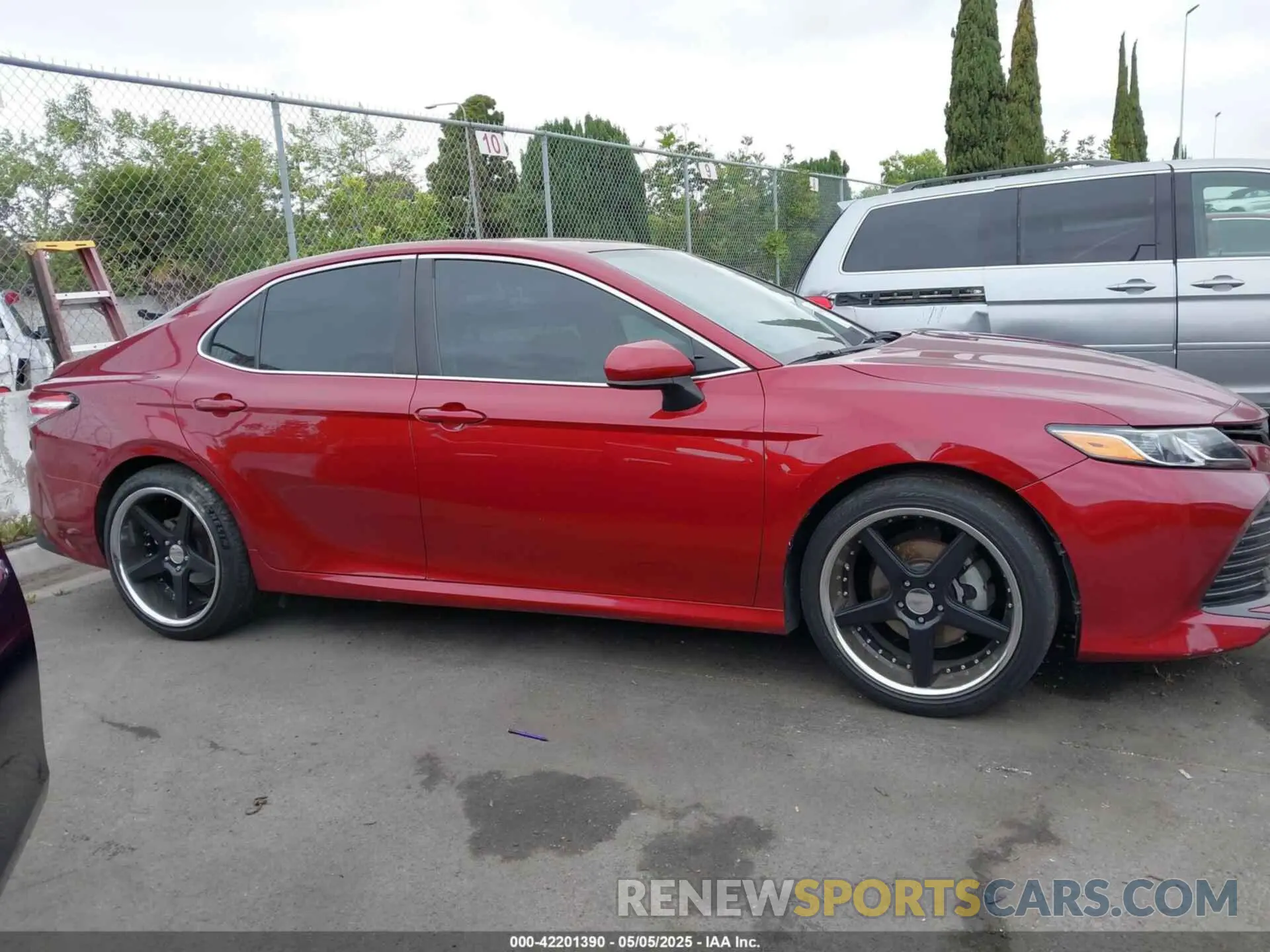 13 fotografías del automóvil dañado 4T1B11HKXKU243453 TOYOTA CAMRY 2019