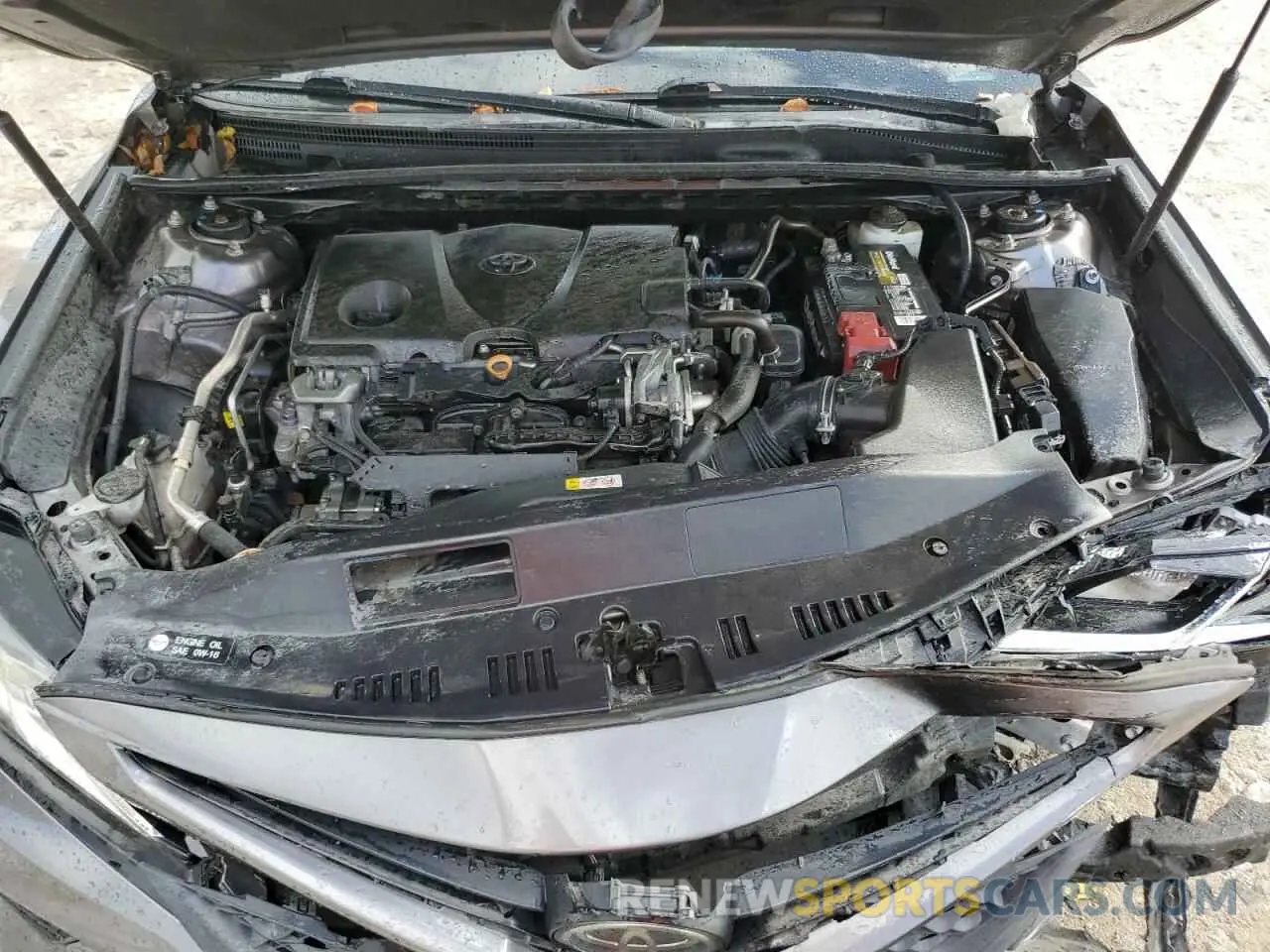 11 fotografías del automóvil dañado 4T1B11HKXKU245428 TOYOTA CAMRY 2019