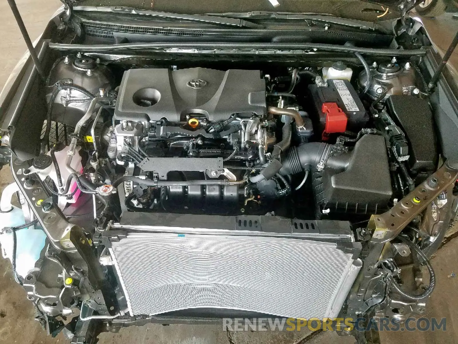 7 fotografías del automóvil dañado 4T1B11HKXKU262729 TOYOTA CAMRY 2019