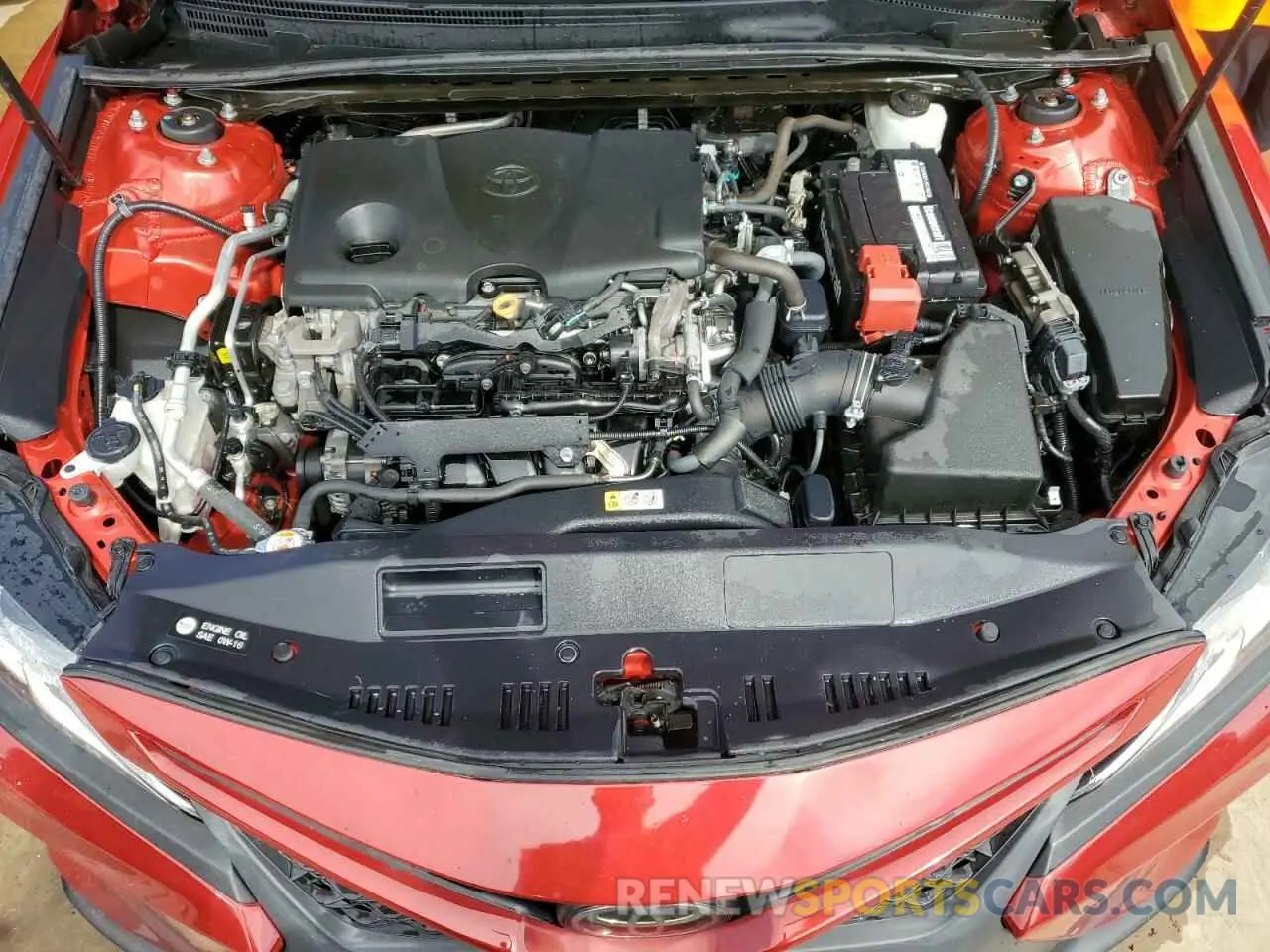 11 fotografías del automóvil dañado 4T1B11HKXKU265663 TOYOTA CAMRY 2019