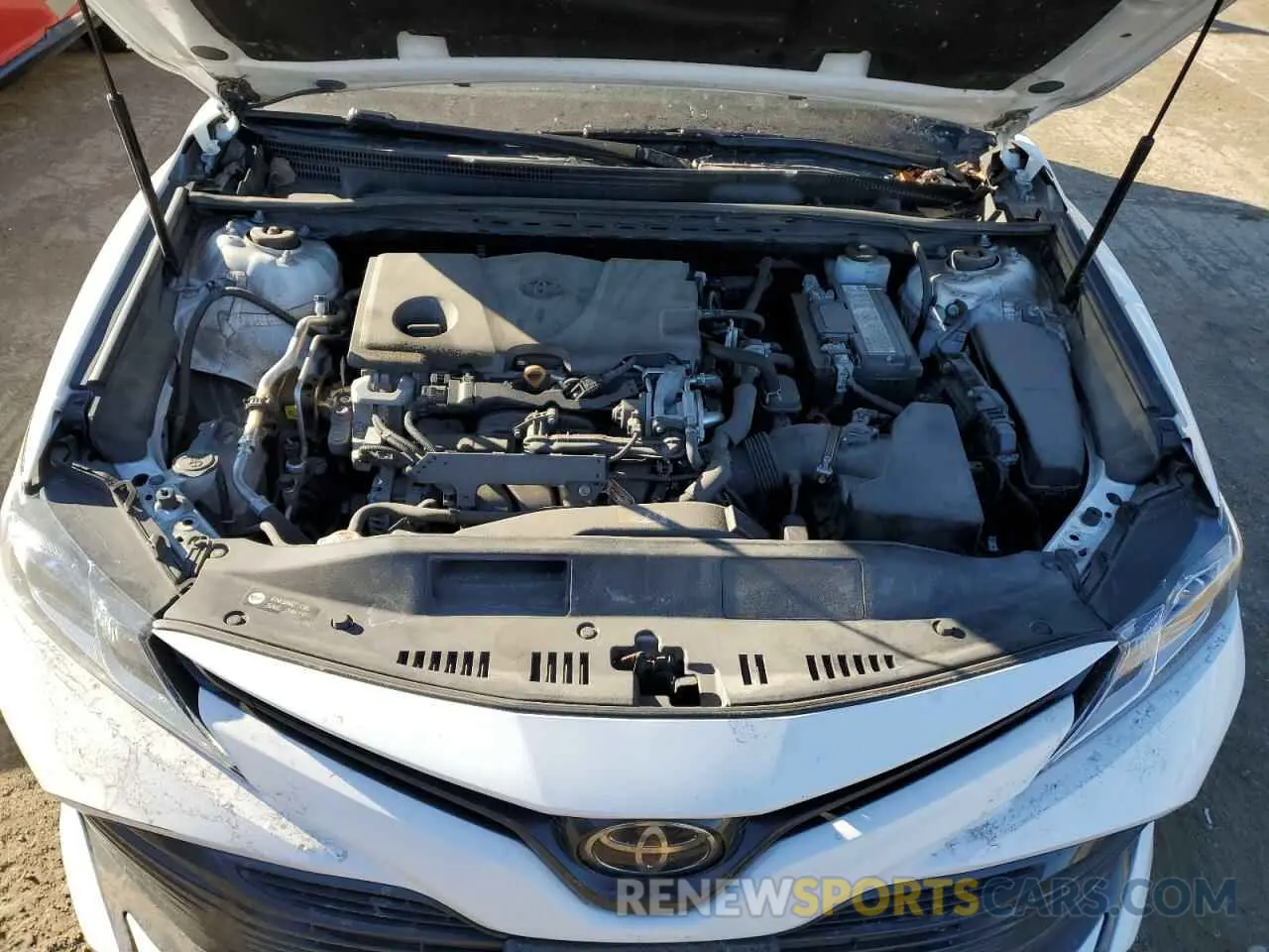11 fotografías del automóvil dañado 4T1B11HKXKU267249 TOYOTA CAMRY 2019