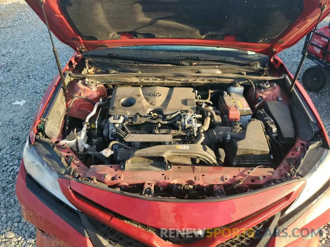 11 fotografías del automóvil dañado 4T1B11HKXKU270815 TOYOTA CAMRY 2019