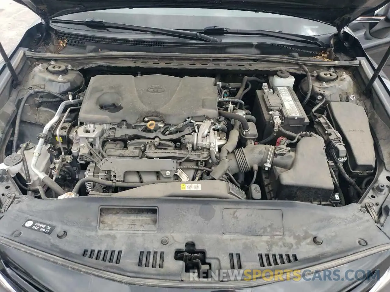11 fotografías del automóvil dañado 4T1B11HKXKU274976 TOYOTA CAMRY 2019