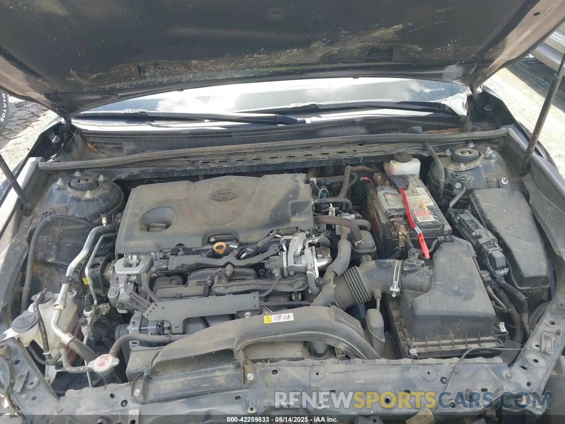 10 fotografías del automóvil dañado 4T1B11HKXKU282043 TOYOTA CAMRY 2019