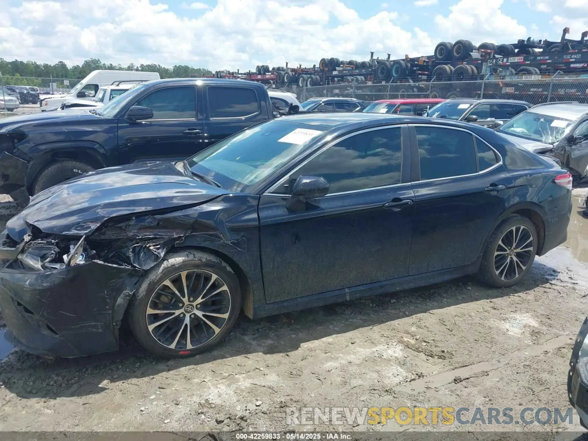 14 fotografías del automóvil dañado 4T1B11HKXKU282043 TOYOTA CAMRY 2019