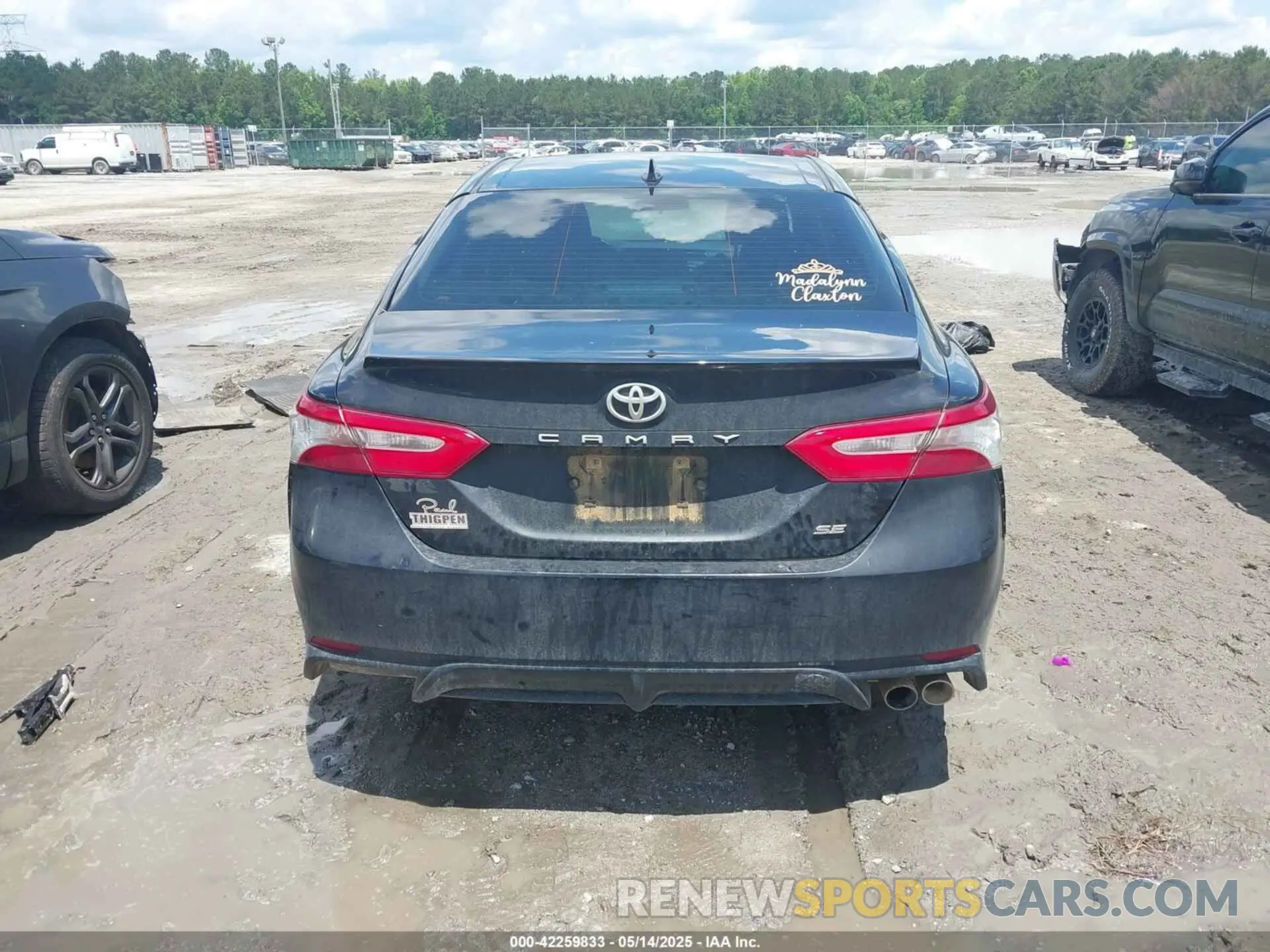 16 fotografías del automóvil dañado 4T1B11HKXKU282043 TOYOTA CAMRY 2019