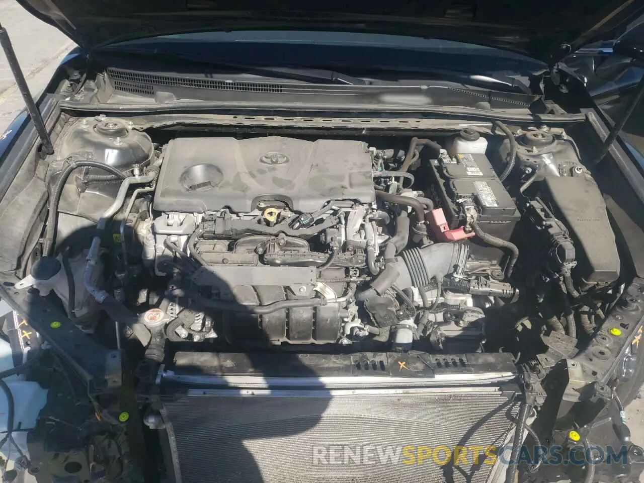 11 fotografías del automóvil dañado 4T1B11HKXKU282088 TOYOTA CAMRY 2019