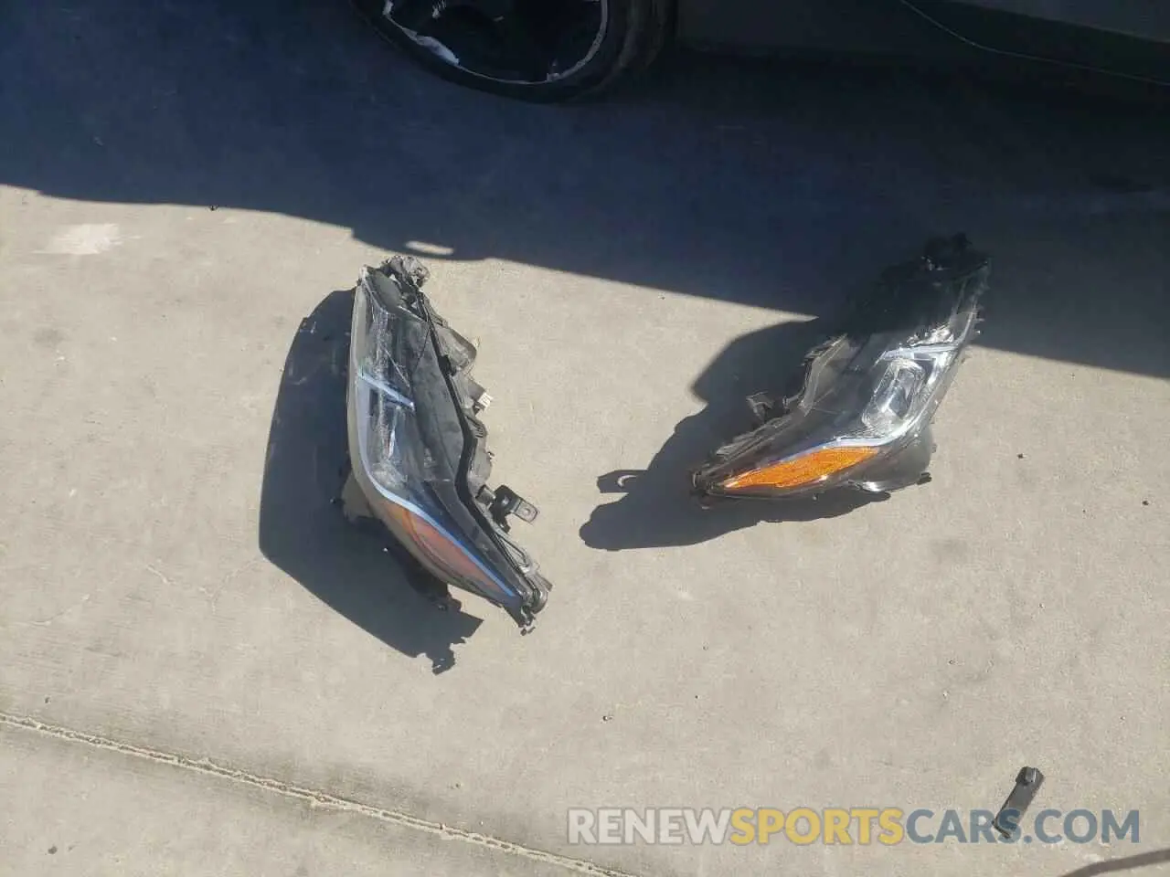 12 fotografías del automóvil dañado 4T1B11HKXKU282088 TOYOTA CAMRY 2019
