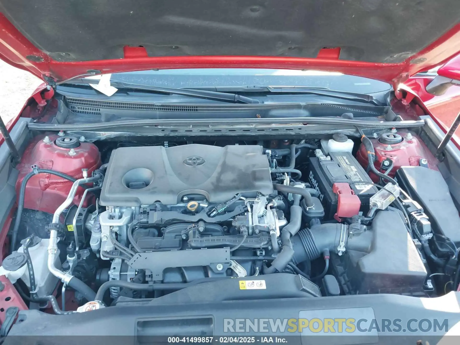 10 fotografías del automóvil dañado 4T1B11HKXKU284598 TOYOTA CAMRY 2019
