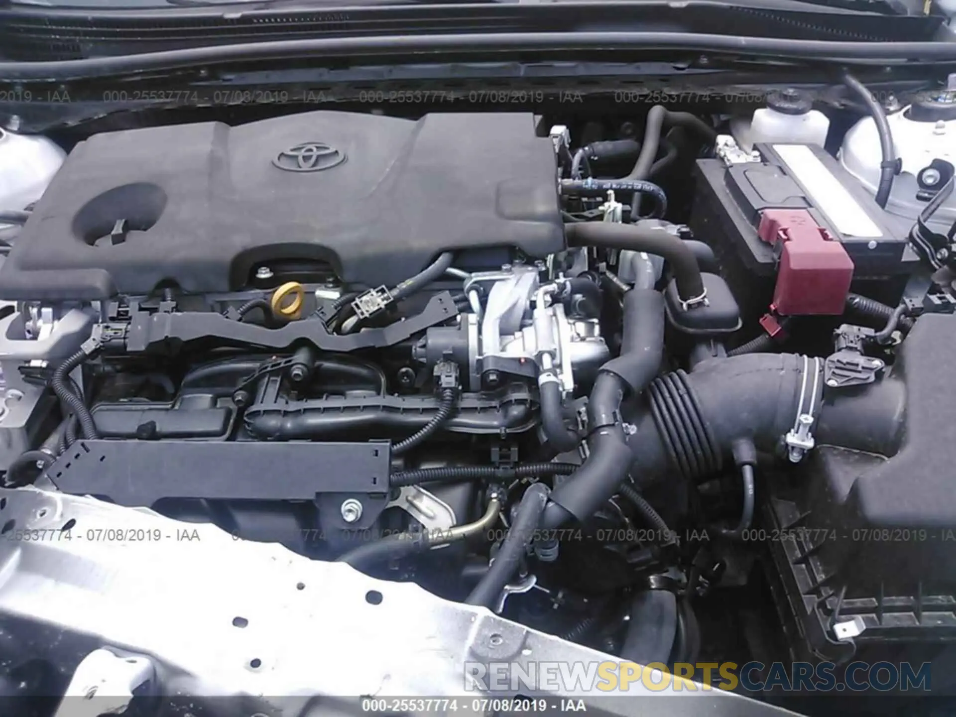 10 fotografías del automóvil dañado 4T1B11HKXKU683950 TOYOTA CAMRY 2019