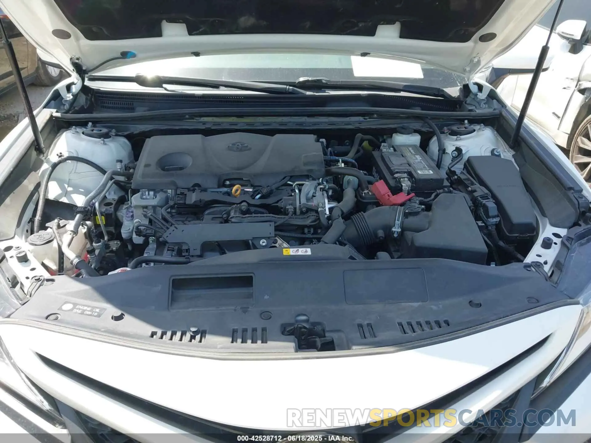 10 fotografías del automóvil dañado 4T1B11HKXKU686282 TOYOTA CAMRY 2019