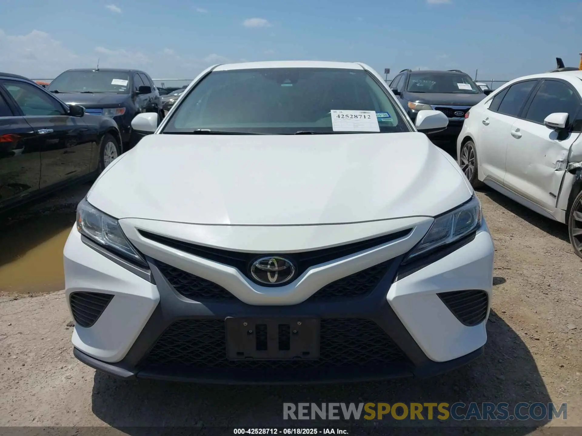 13 fotografías del automóvil dañado 4T1B11HKXKU686282 TOYOTA CAMRY 2019