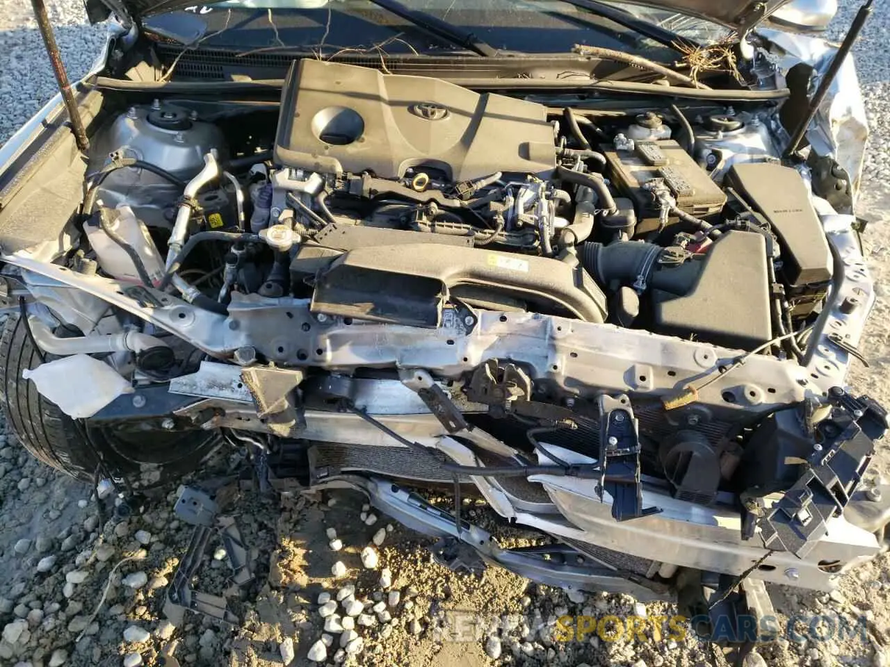 7 fotografías del automóvil dañado 4T1B11HKXKU688100 TOYOTA CAMRY 2019
