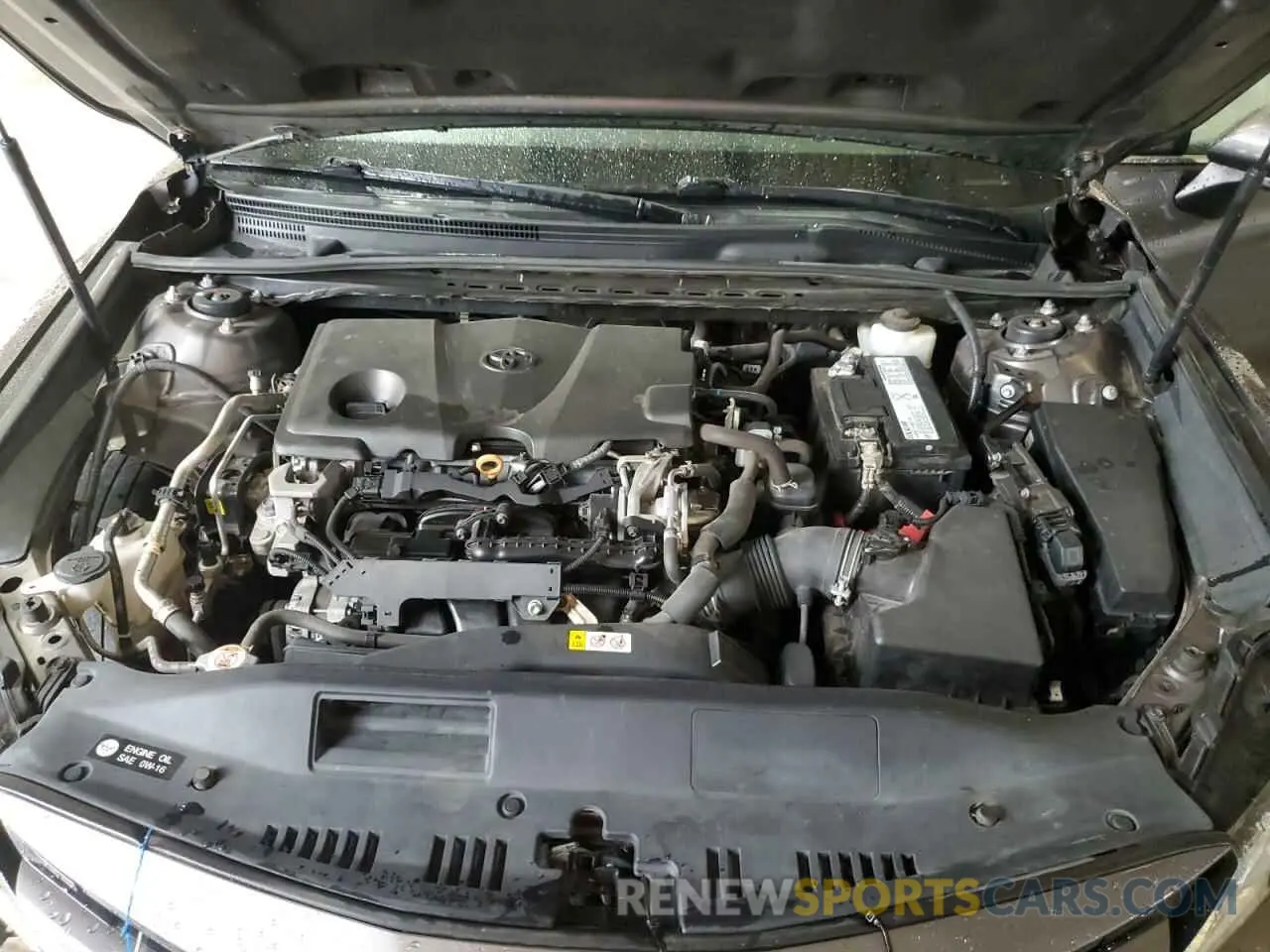 11 fotografías del automóvil dañado 4T1B11HKXKU695368 TOYOTA CAMRY 2019