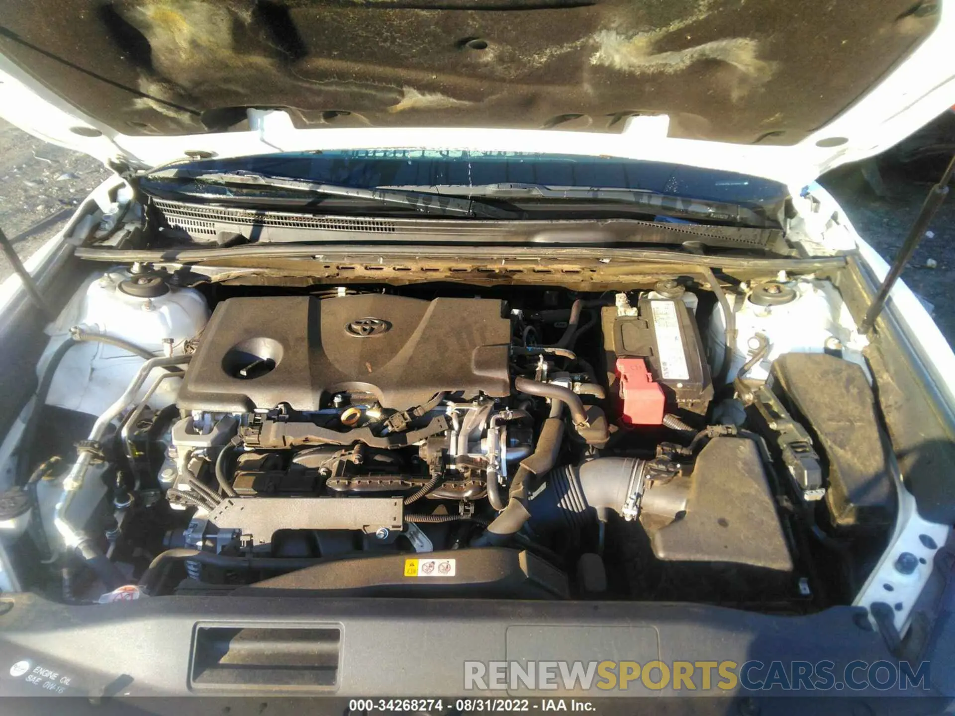 10 fotografías del automóvil dañado 4T1B11HKXKU705638 TOYOTA CAMRY 2019