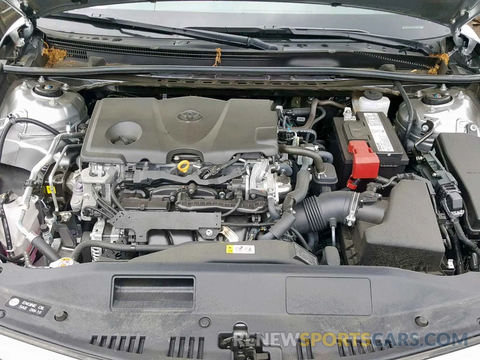 7 fotografías del automóvil dañado 4T1B11HKXKU713514 TOYOTA CAMRY 2019