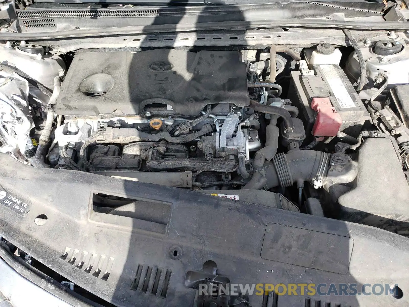 7 fotografías del automóvil dañado 4T1B11HKXKU730443 TOYOTA CAMRY 2019