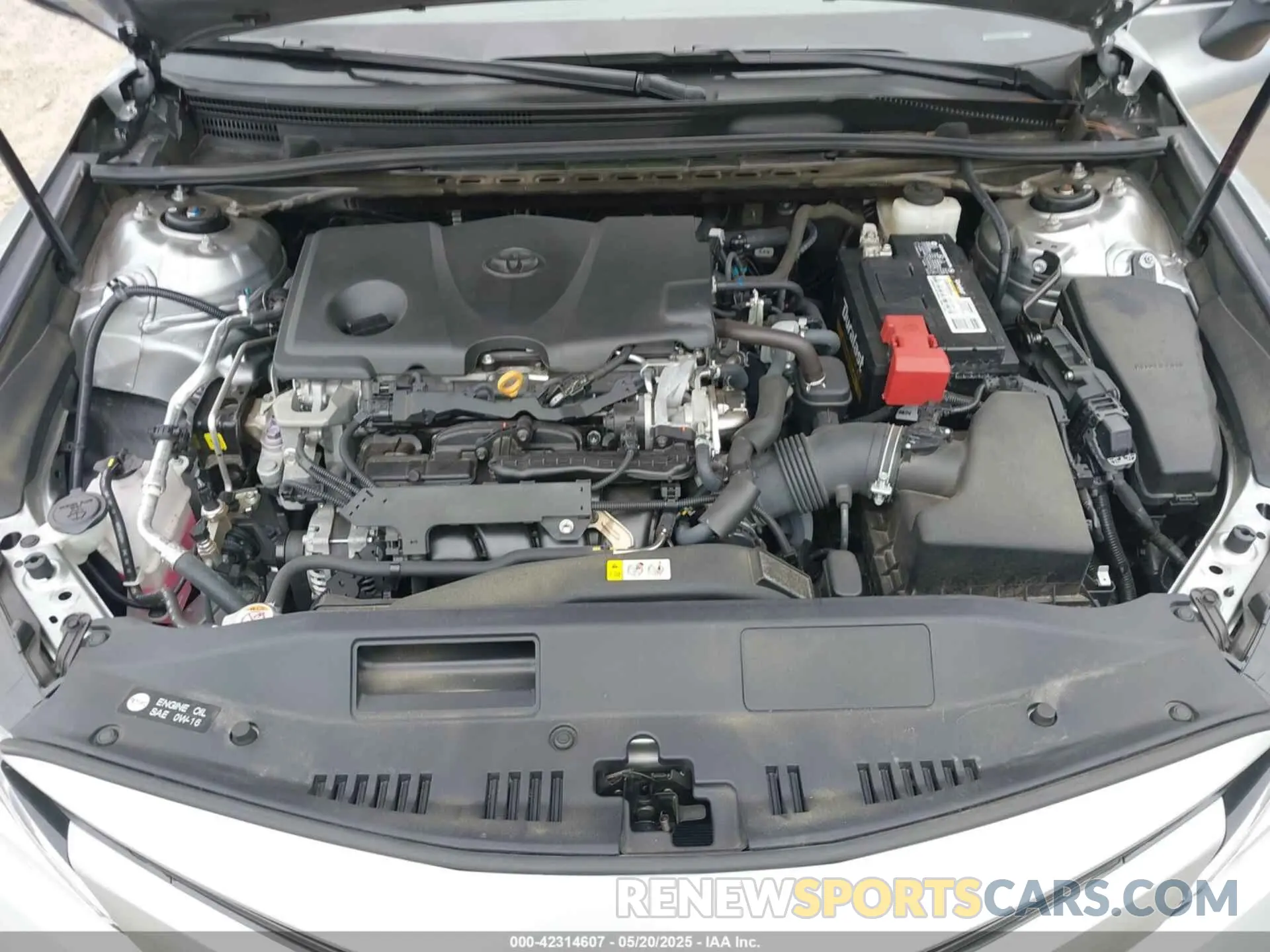 10 fotografías del automóvil dañado 4T1B11HKXKU746948 TOYOTA CAMRY 2019