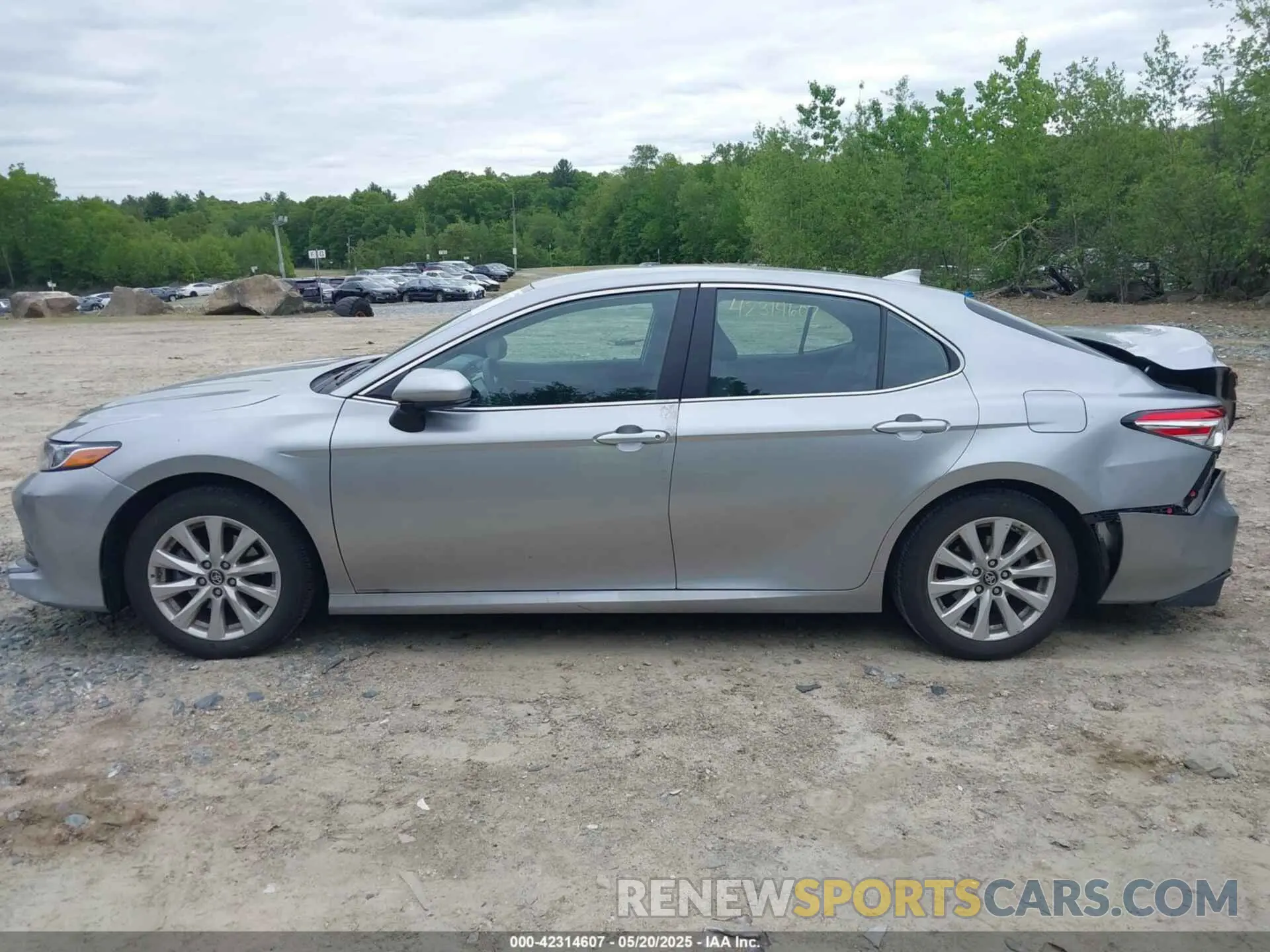 14 fotografías del automóvil dañado 4T1B11HKXKU746948 TOYOTA CAMRY 2019