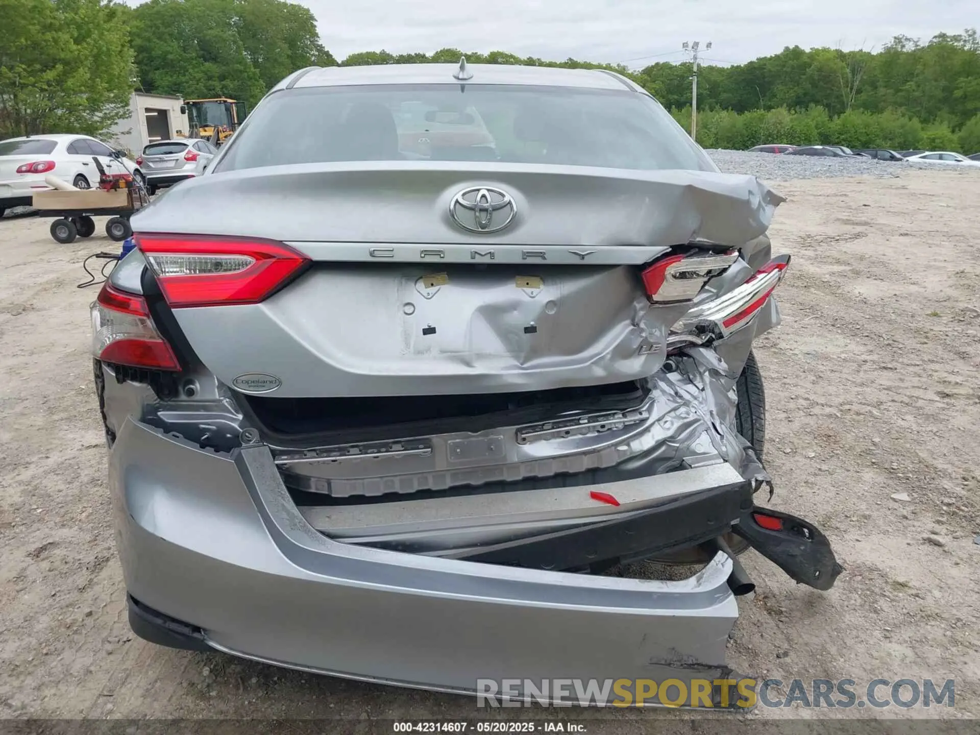 16 fotografías del automóvil dañado 4T1B11HKXKU746948 TOYOTA CAMRY 2019
