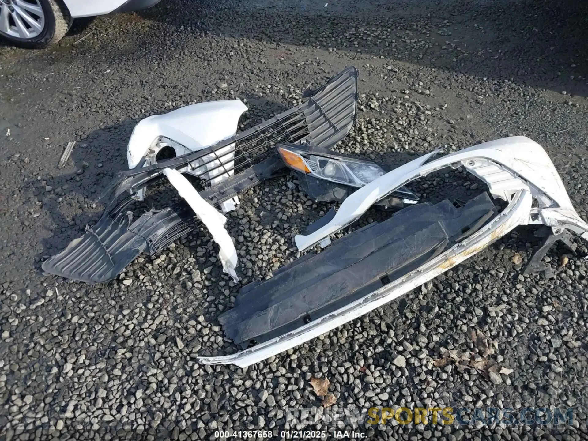 12 fotografías del automóvil dañado 4T1B11HKXKU754936 TOYOTA CAMRY 2019