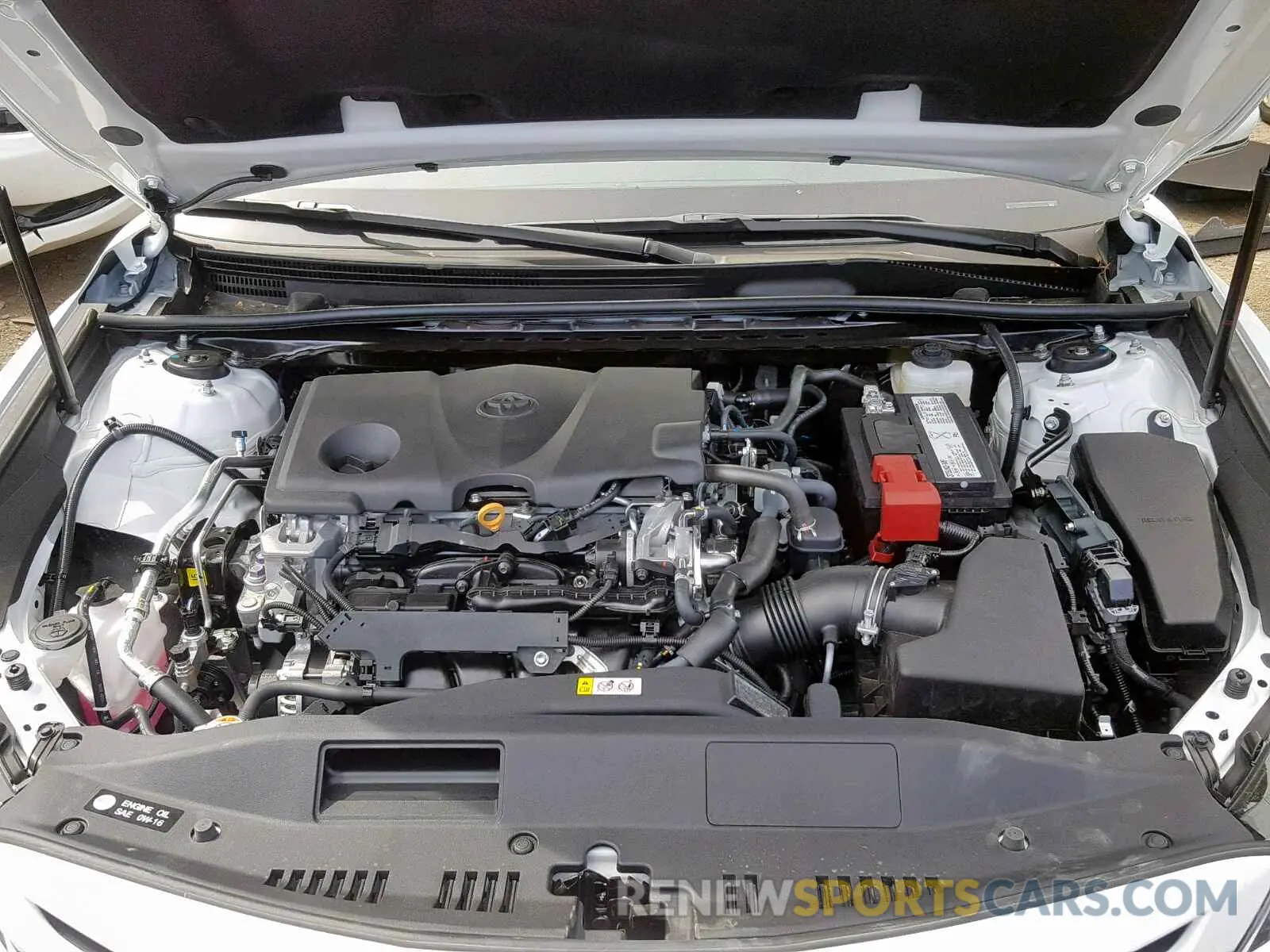 7 fotografías del automóvil dañado 4T1B11HKXKU761062 TOYOTA CAMRY 2019
