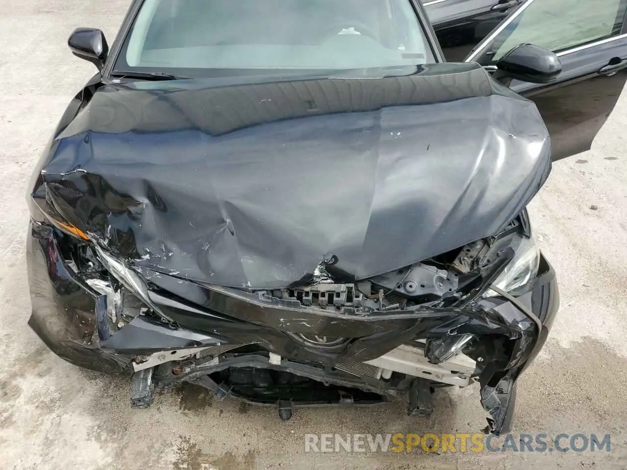 11 fotografías del automóvil dañado 4T1B11HKXKU769744 TOYOTA CAMRY 2019