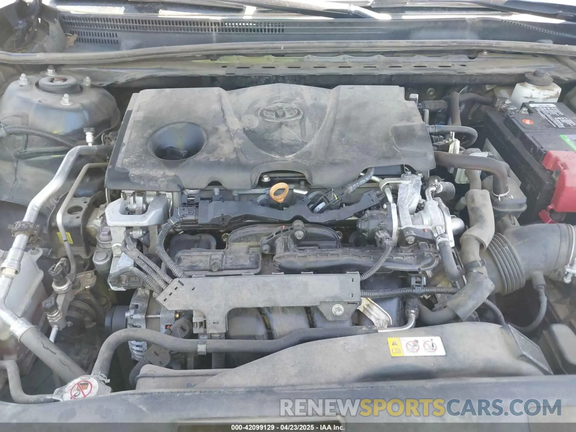 10 fotografías del automóvil dañado 4T1B11HKXKU776712 TOYOTA CAMRY 2019