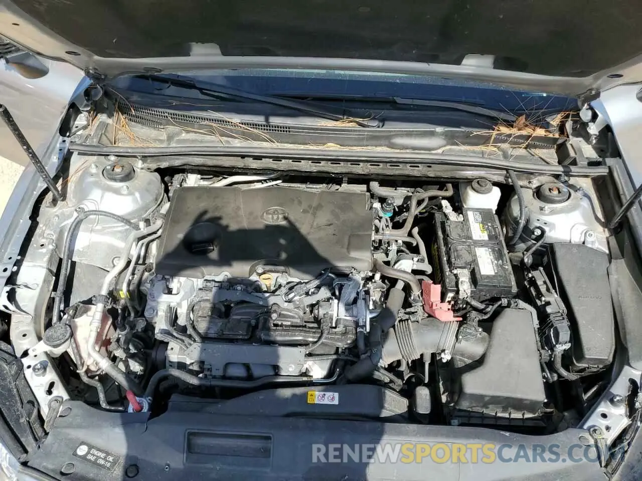 12 fotografías del automóvil dañado 4T1B11HKXKU786916 TOYOTA CAMRY 2019