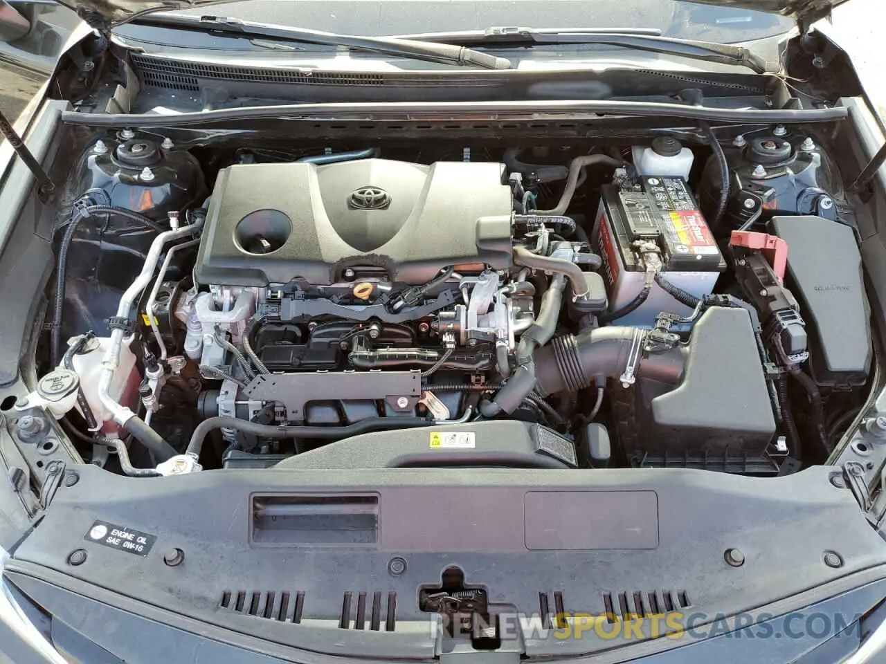 11 fotografías del automóvil dañado 4T1B11HKXKU808249 TOYOTA CAMRY 2019