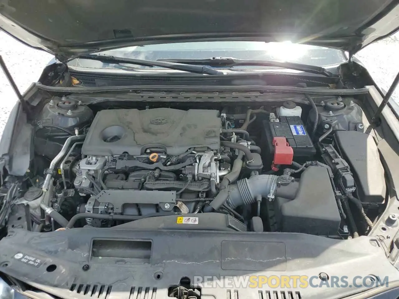 11 fotografías del automóvil dañado 4T1B11HKXKU811376 TOYOTA CAMRY 2019