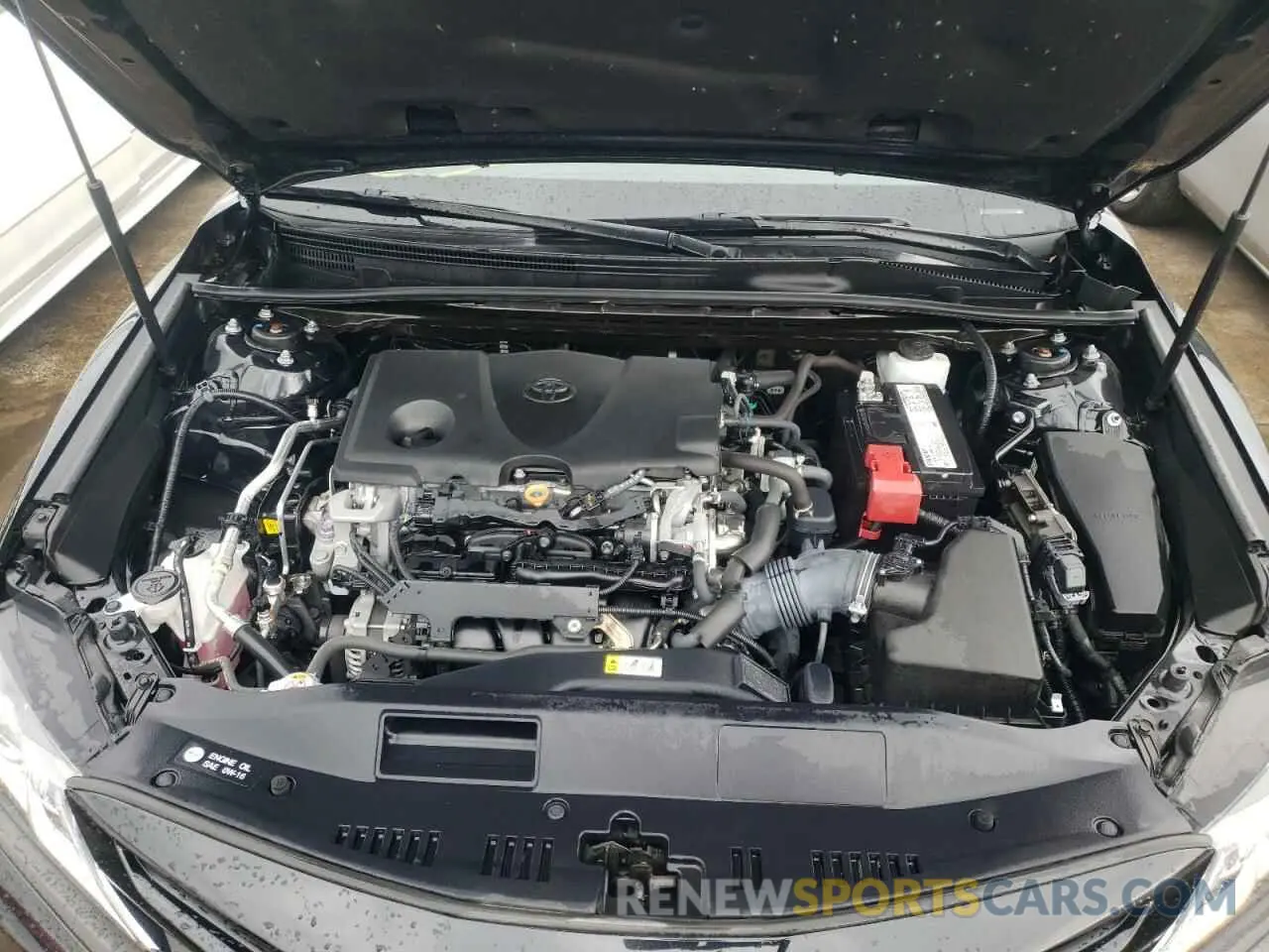 7 fotografías del automóvil dañado 4T1B11HKXKU823124 TOYOTA CAMRY 2019