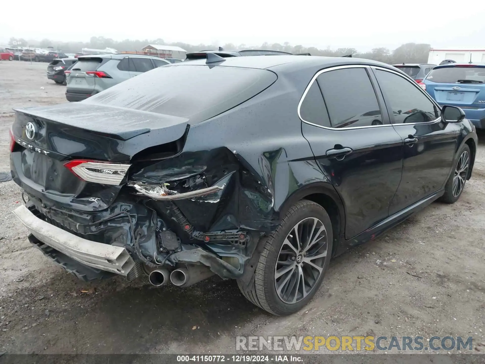 6 fotografías del automóvil dañado 4T1B11HKXKU845835 TOYOTA CAMRY 2019