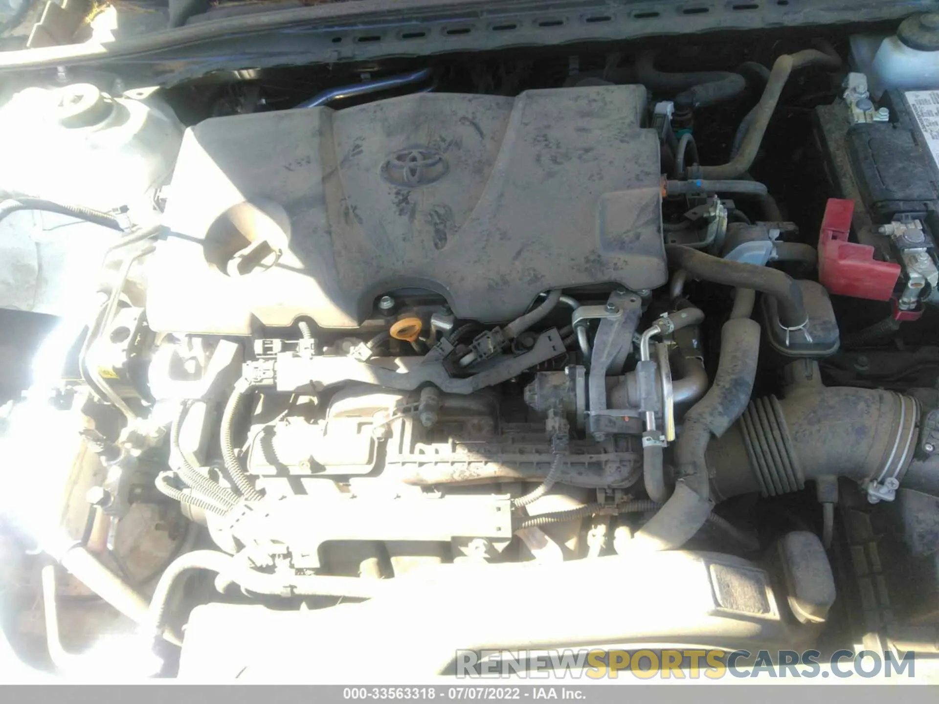 10 fotografías del automóvil dañado 4T1B11HKXKU856706 TOYOTA CAMRY 2019