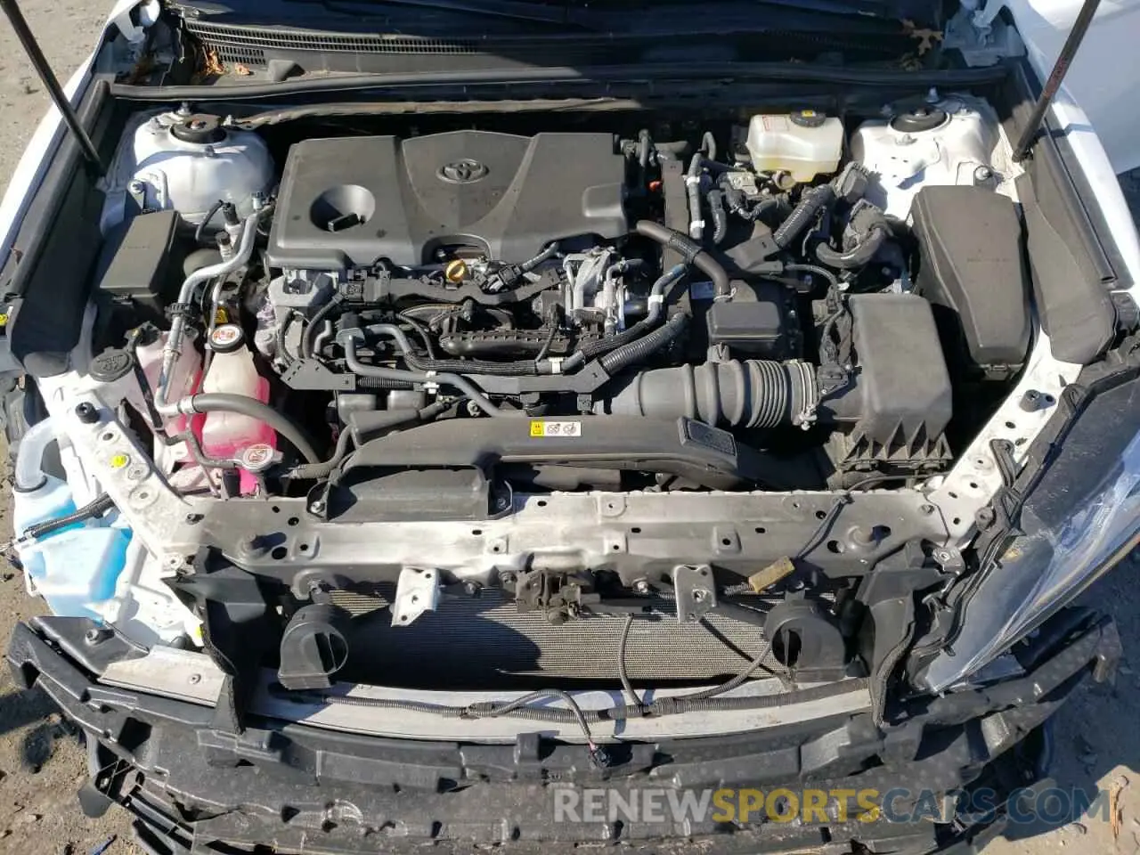 11 fotografías del automóvil dañado 4T1B21HK0KU513108 TOYOTA CAMRY 2019