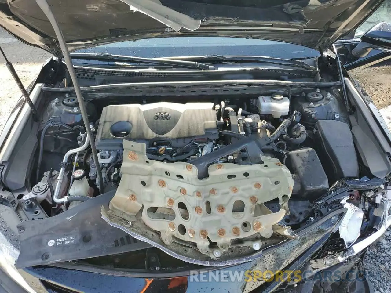 11 fotografías del automóvil dañado 4T1B21HK1KU516390 TOYOTA CAMRY 2019