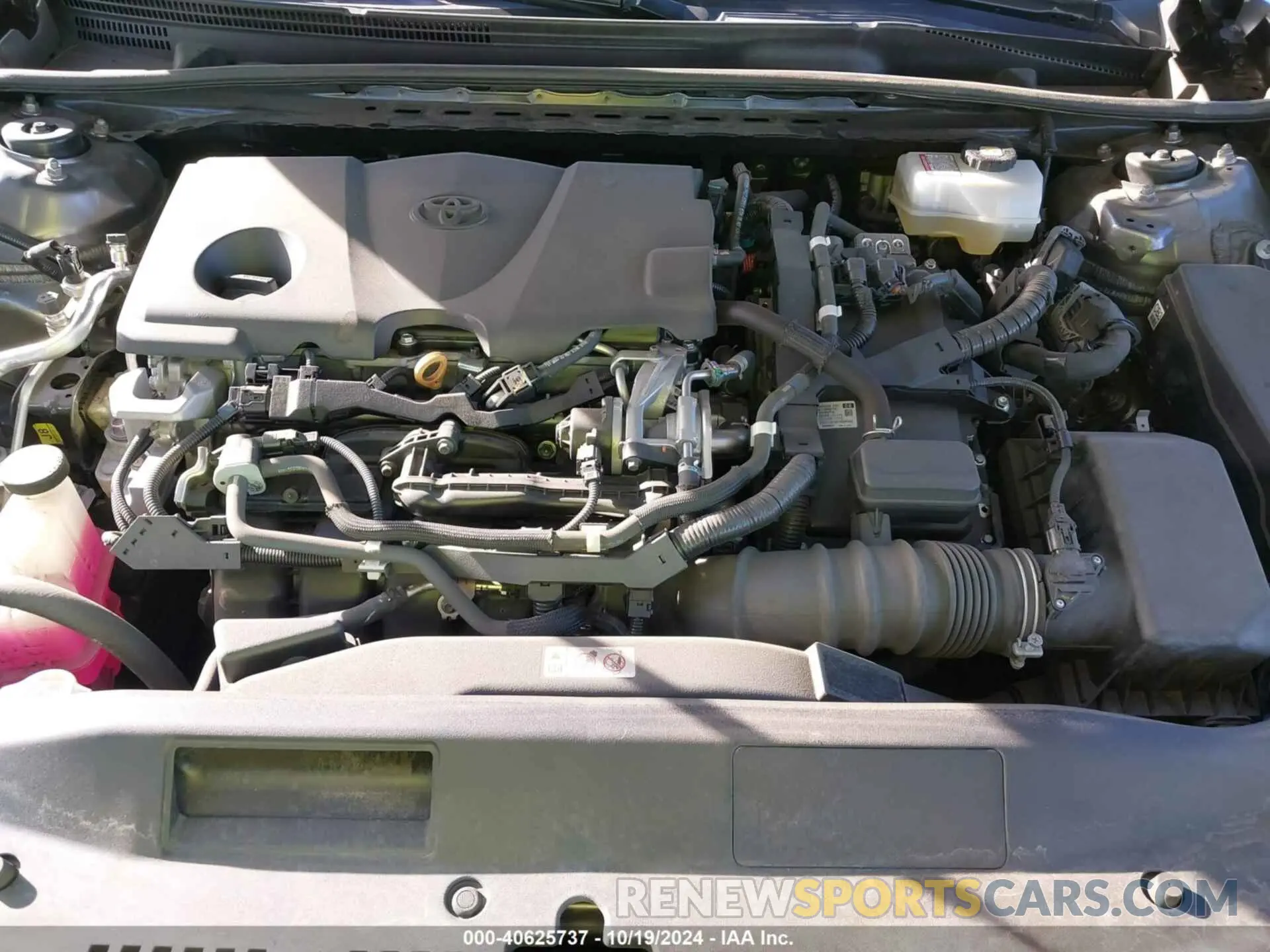 10 fotografías del automóvil dañado 4T1B21HK2KU010227 TOYOTA CAMRY 2019