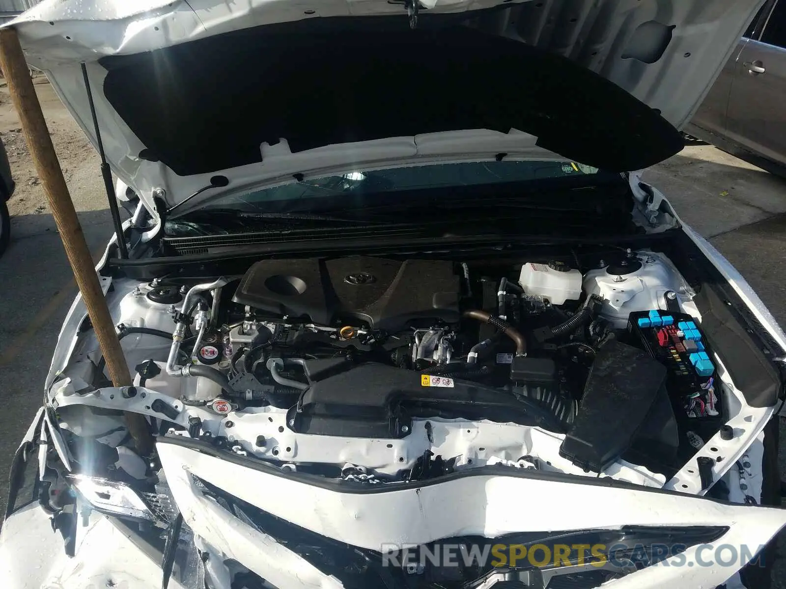 7 fotografías del automóvil dañado 4T1B21HK2KU521663 TOYOTA CAMRY 2019