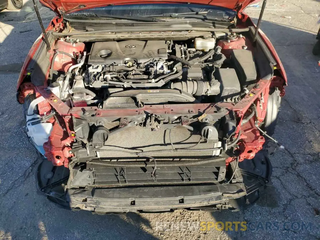 11 fotografías del automóvil dañado 4T1B21HK3KU011404 TOYOTA CAMRY 2019