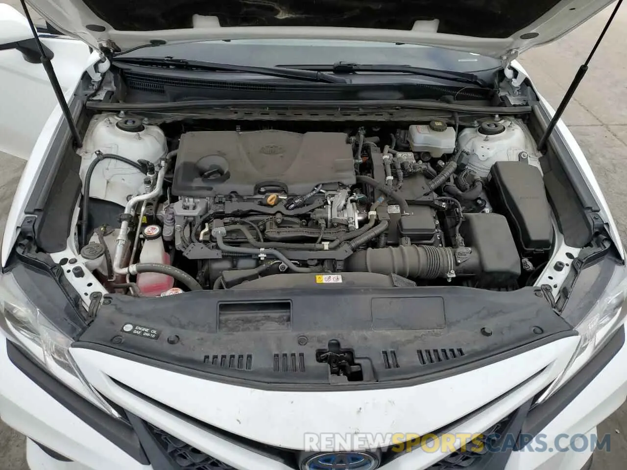 11 fotografías del automóvil dañado 4T1B21HK3KU011418 TOYOTA CAMRY 2019
