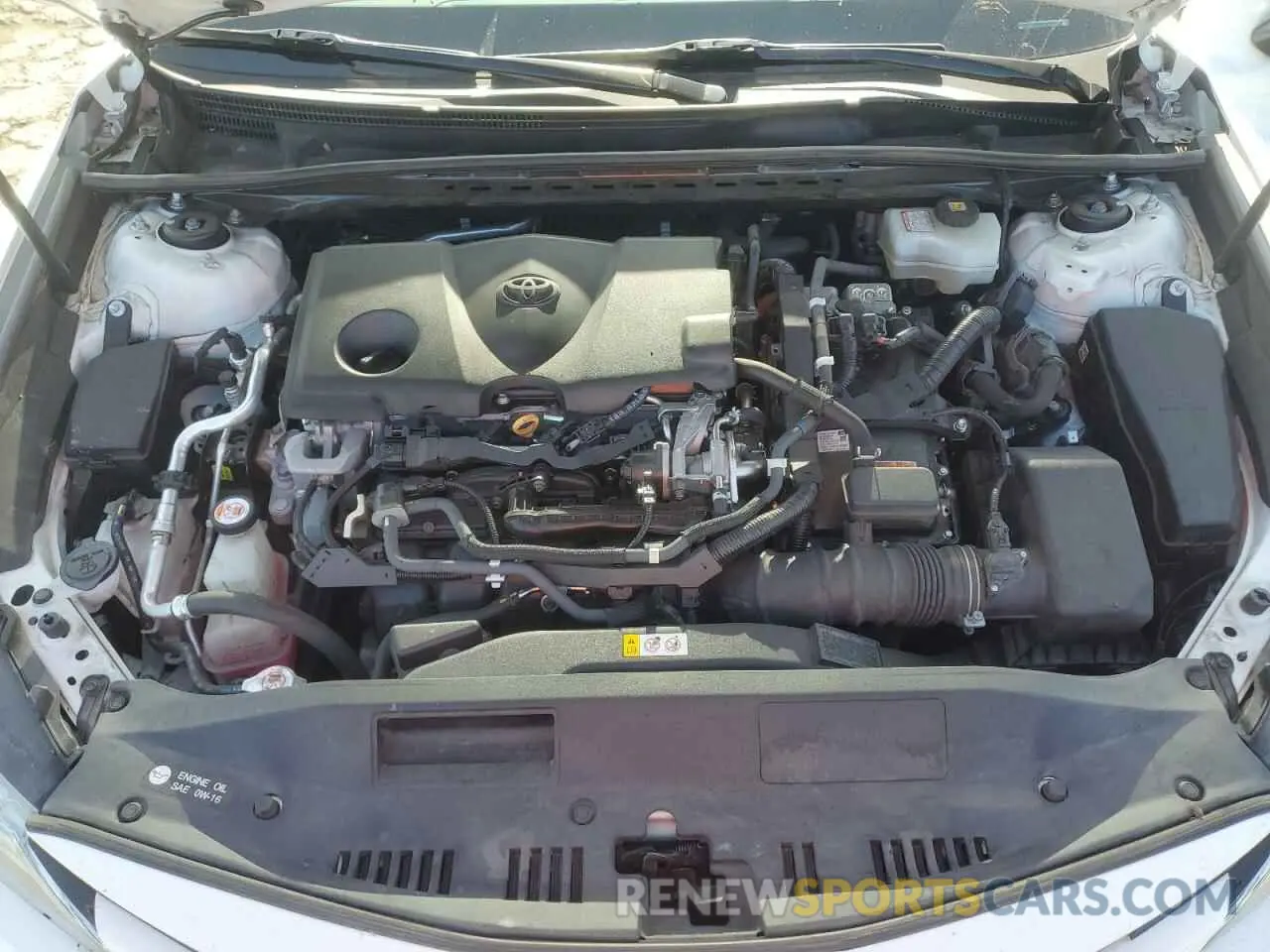 11 fotografías del automóvil dañado 4T1B21HK3KU516262 TOYOTA CAMRY 2019