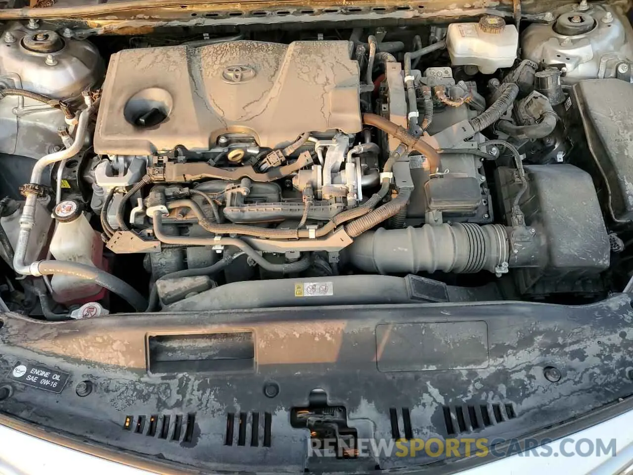 11 fotografías del automóvil dañado 4T1B21HK3KU516987 TOYOTA CAMRY 2019