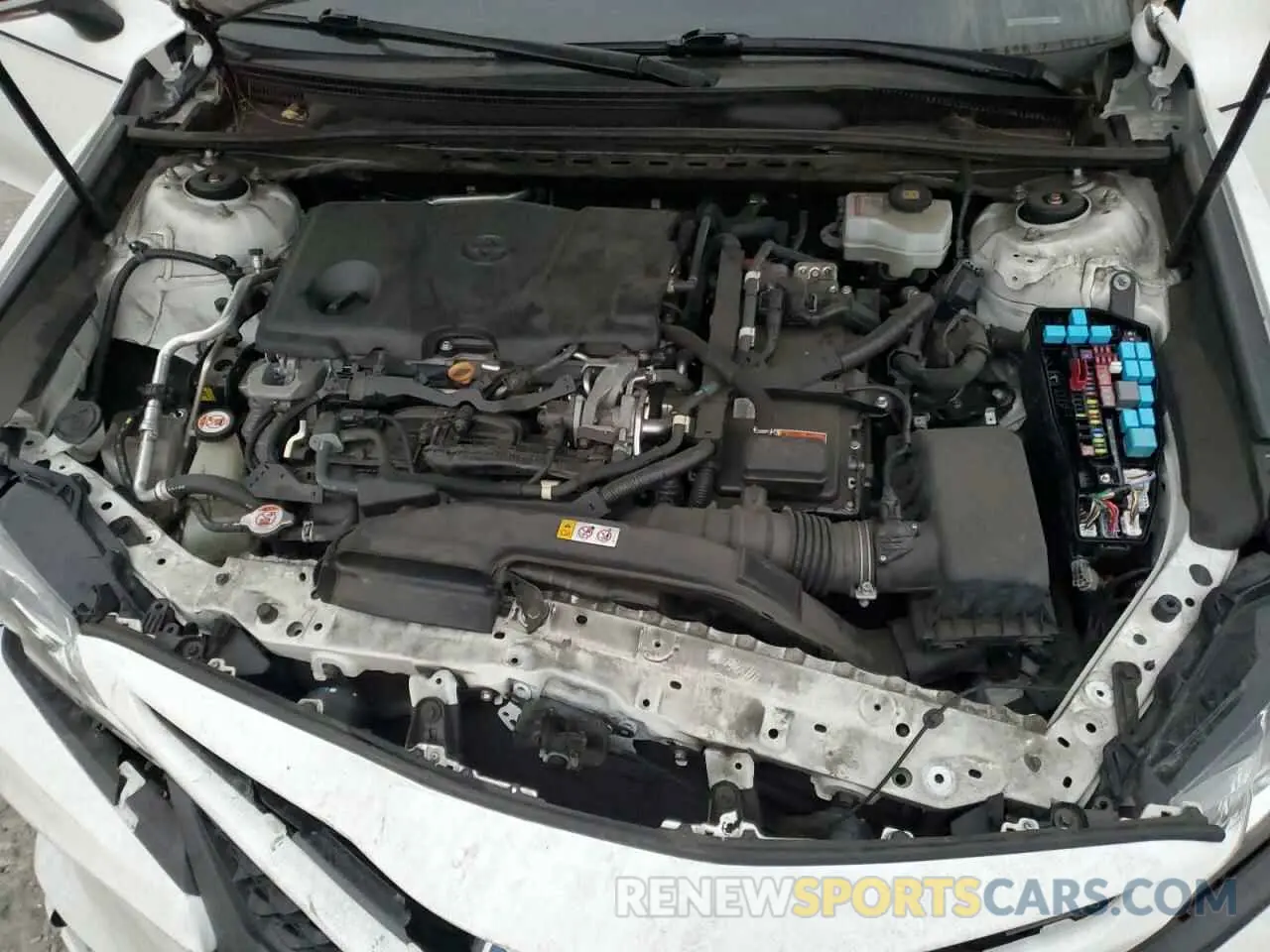 11 fotografías del automóvil dañado 4T1B21HK7KU516068 TOYOTA CAMRY 2019